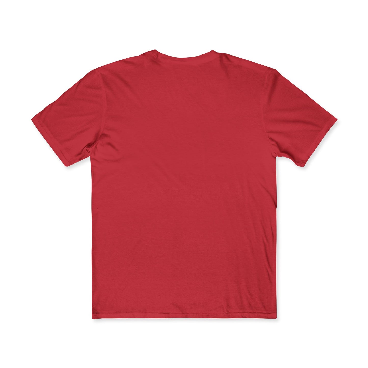 Homeschool Dad Brotherhood Tee